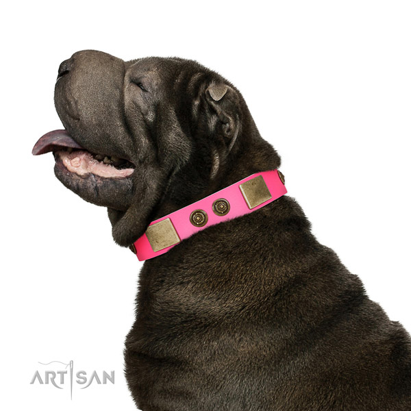 Convenient dog collar created for your beautiful pet
