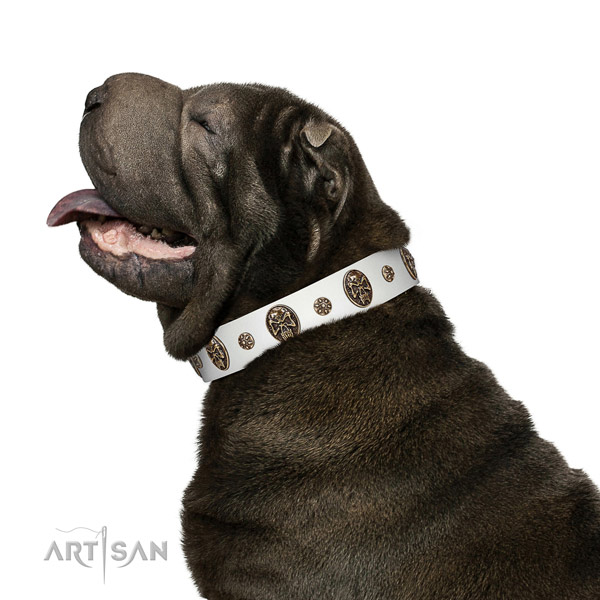Daily use dog collar of natural leather with incredible studs