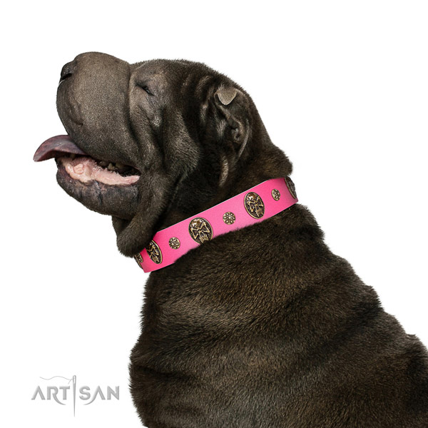 Designer dog collar crafted for your lovely dog