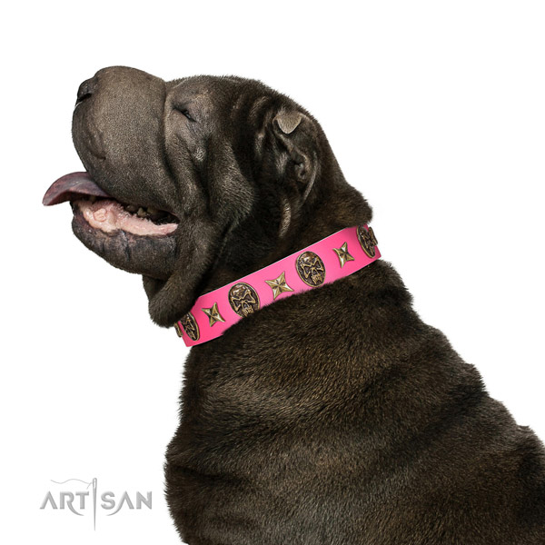 Studded dog collar created for your attractive dog