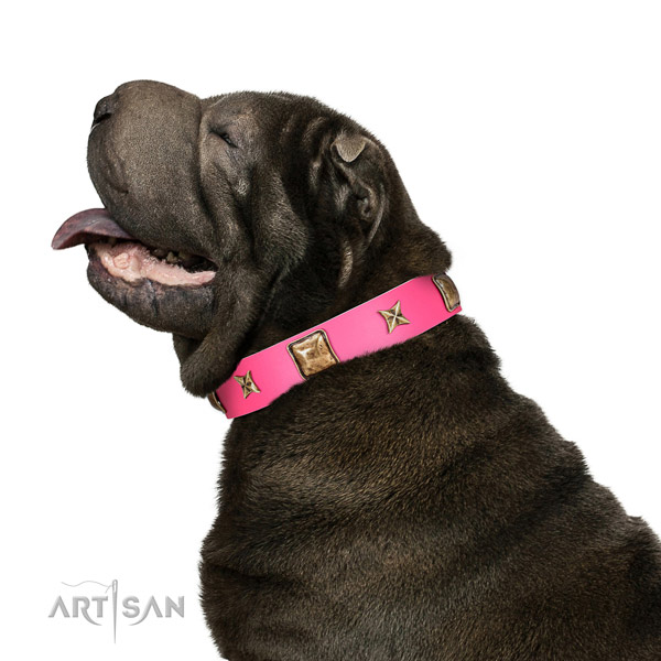 Full grain leather dog collar of reliable material with extraordinary decorations