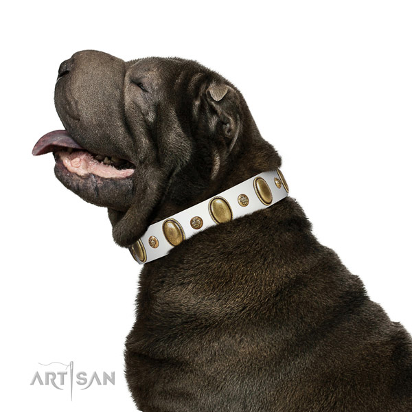 Everyday use high quality full grain genuine leather dog collar with studs