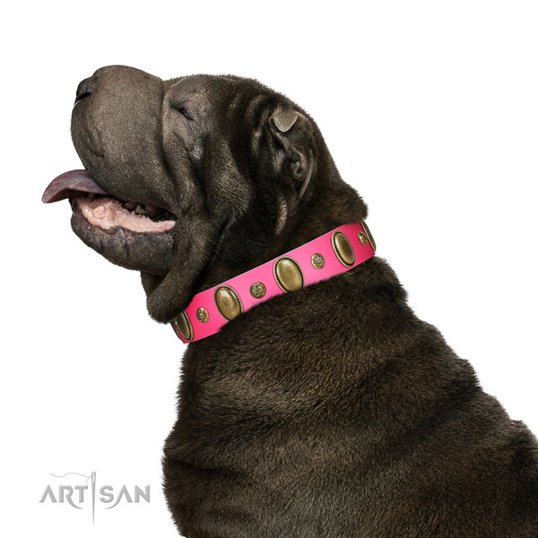 Easy wearing high quality full grain natural leather dog collar with embellishments