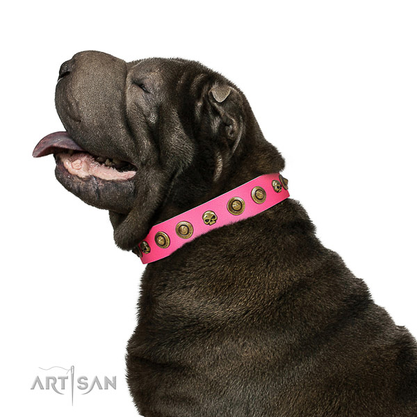 Exceptional genuine leather dog collar with adornments