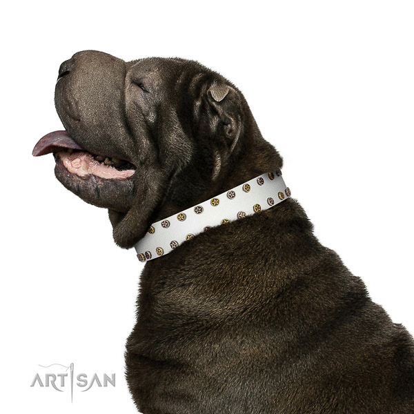 Remarkable leather dog collar with rust-proof adornments