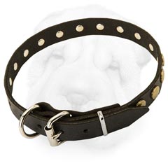 1 Inch Wide Leather Collar Decorated with Brass Studs for Shar Pei