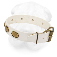 Shar-Pei White Collar with Brass Hardware