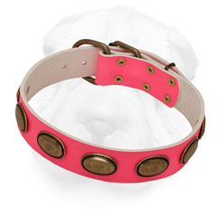 Shar-Pei Vintage Collar with Brass Plates Pink