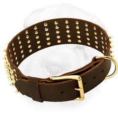 Shar Pei Dog Collar for Walking with Hardware Made of Brass