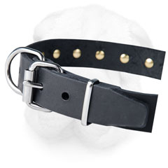 Shar Pei Collar Made of Leather for Everyday Activities
