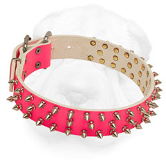 Everyday Shar Pei Collar Made of Leather