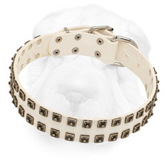 Leather Shar Pei Collar Equipped with Nickel Hardware