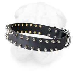 Leather Shar Pei Collar Decorated with Nickel Spikes