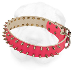 Leather Shar Pei Collar Decorated with Nickel Spikes
