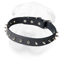 Leather Shar Pei Collar Decorated with Nickel Spikes