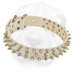 Trendy White Collar Made of Leather