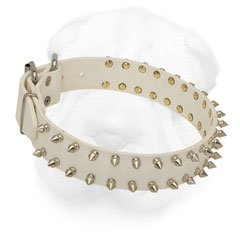 Weather Resistant Leather Collar for Shar Pei