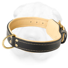 Shar-Pei Elegant Collar with Nappa Padding