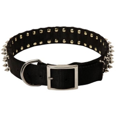 Nylon Shar Pei Collar for Any Weather