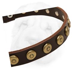 Fashionable Shar Pei Breed Collar with Dotted Flat Studs