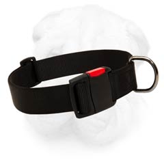 Strong nylon collar with quick release buckle for Shar Pei