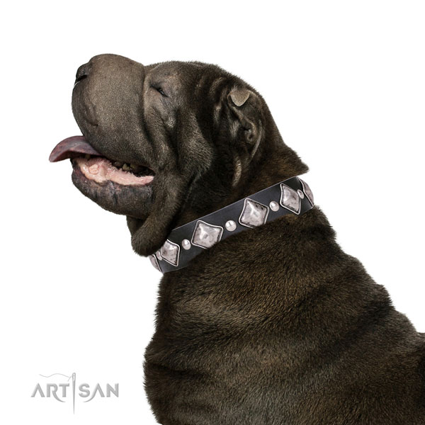 Sharpei full grain genuine leather collar with rust resistant buckle for comfy wearing