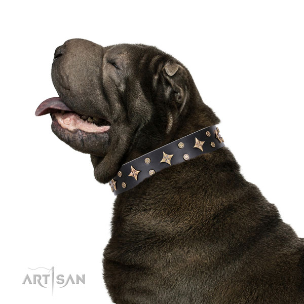 Sharpei full grain natural leather collar with corrosion resistant fittings for basic training