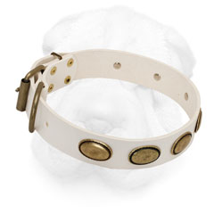 Shar-Pei Sophisticated Collar with Brass Plates