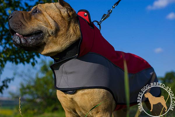 Water-resistant nylon Shar Pei coat harness