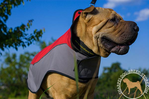 Nylon Shar Pei coat for daily walking