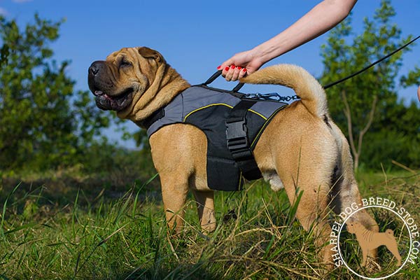 Water-resistant nylon Shar Pei harness