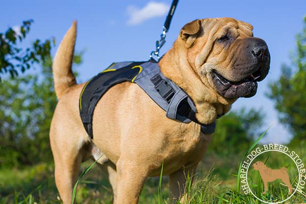 Easy-adjustable nylon dog harness for Shar Pei