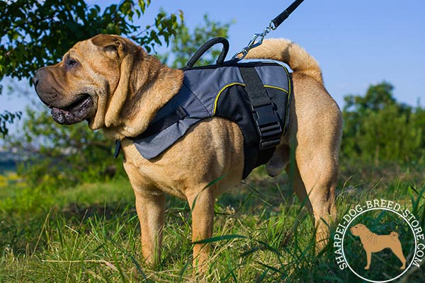 Upgraded nylon dog harness for Shar Pei rehabilitation