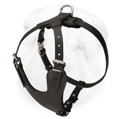 Heavy Duty Dog Training Harness Made of Full Grain Leather for Shar Pei Breed