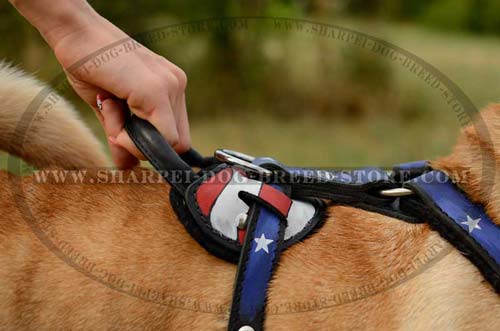 Strong Dog Harness for Training/Walking your Shar Pei