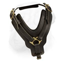 Leather Harness of Non-Restrictive Type with Y-shaped Chest Plate for Shar Pei Breed