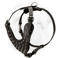 Leather Dog Harness with Y-shaped Chest Plate Protecting from Neck Injuries for Shar Pei Breed