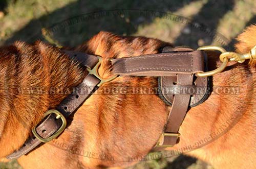 Shar Pei Dog Harness well Ventilated and Light Weight for Tracking Work
