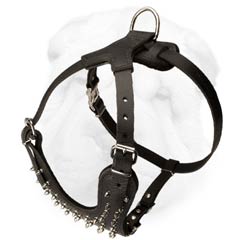 Durable Dog Harness with Spikes for Shar Pei Breed Walking