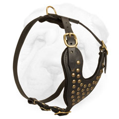 Genuine Leather Walking Harness for Shar Pei Breed Decorated with Brass Studs 