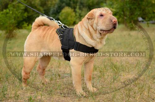 Quality Strong Nylong Harness for Shar Pei Breed