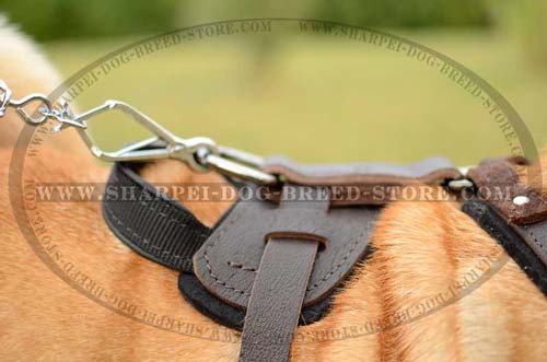 Exclusive Dog Muzzle