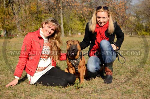 Shar Pei Harness for Dog Walking with Decoration