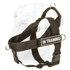Walking Shar Pei Dog Harness with Front D-ring for Better Control
