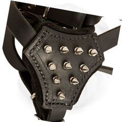 Soft Leather Spiked Chest 