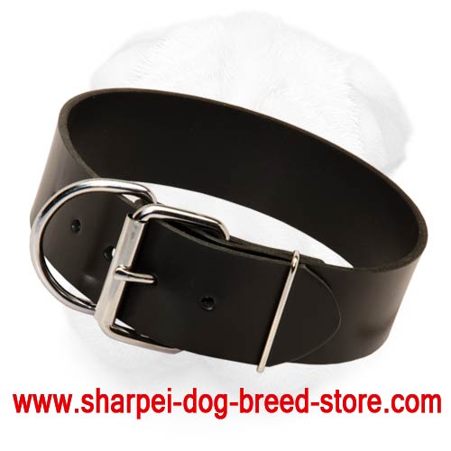 Extremely Wide Plain Design Shar Pei Collar Made of Full Grain Leather