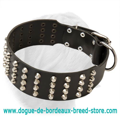 Shar Pei Leather Collar with Pyramids, Extra Wide