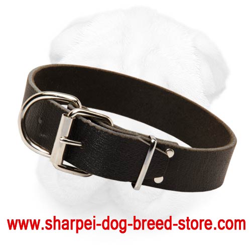 C4 Large Dog Collar