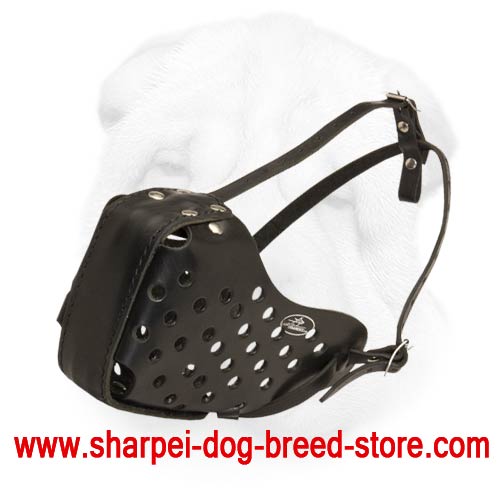 Best muzzle online for shar pei