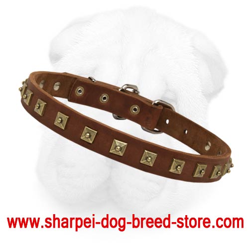 1 Inch Wide Leather Shar Pei Collar with Low Pyramid Shaped Brass Studs - Click Image to Close